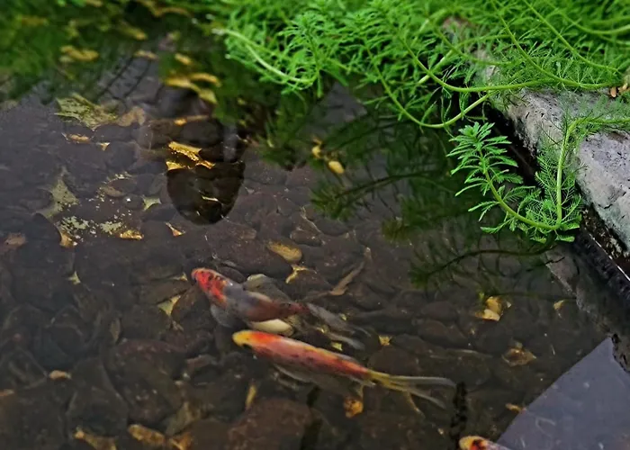 Family Hotel: El Serafin Hotel Boutique